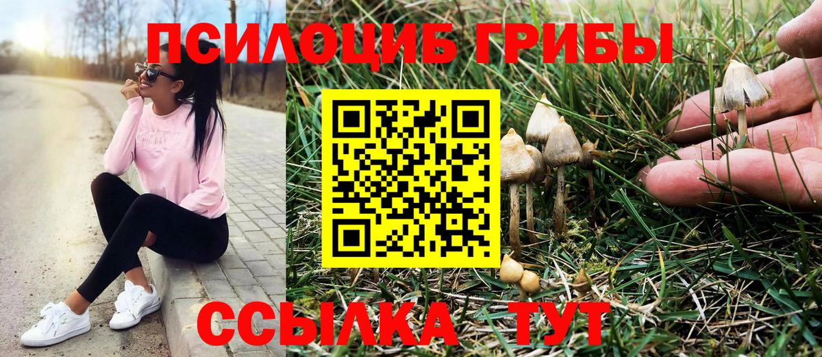 Псилоцибиновые грибы мухоморы  Вход с VPN  Унеча 